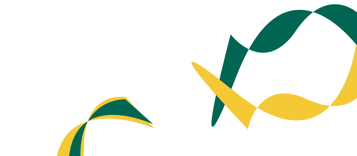 Expert Solutions for Corporate  Financial Success. - 鲸鱼体育直播
