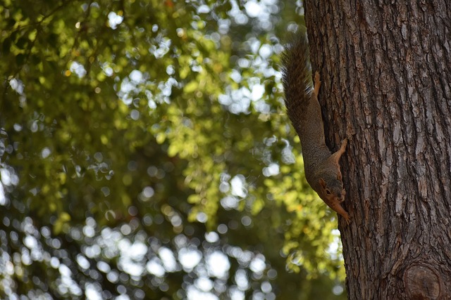每个阶段都 每个阶段都