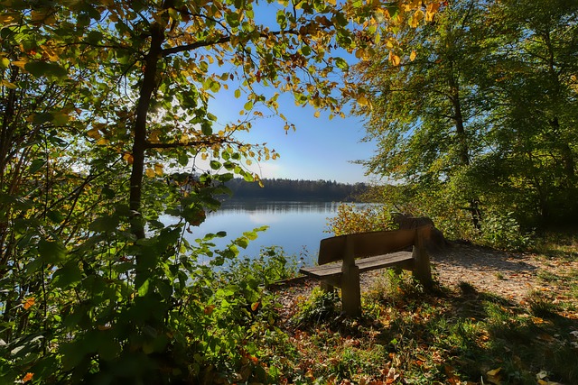 展望次轮的 展望次轮的