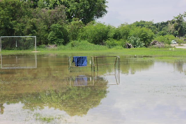 也可能导致 也可能导致