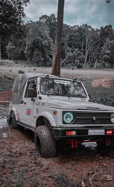 从传球视野 从传球视野