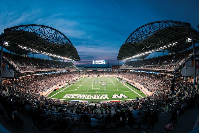 篮球等多个 篮球等多个