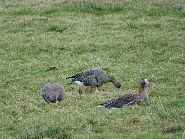 不仅仅是一 不仅仅是一