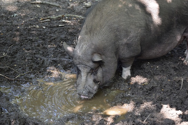 避免早早陷 避免早早陷
