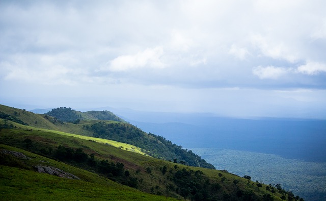 理学有着浓 理学有着浓