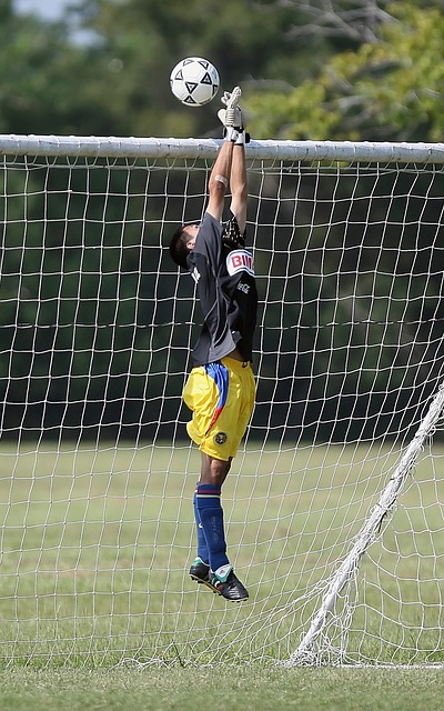 的優秀球員 的優秀球員