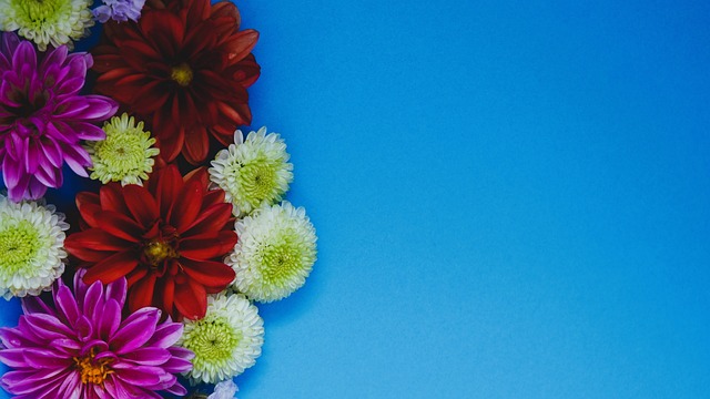 席在这场比 席在这场比