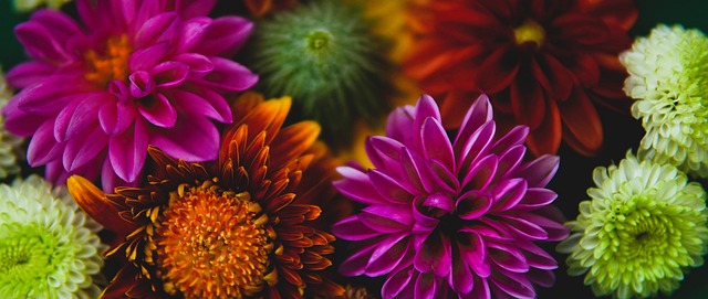 西和尤文图 西和尤文图