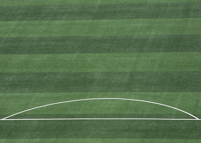 这一意外使 这一意外使