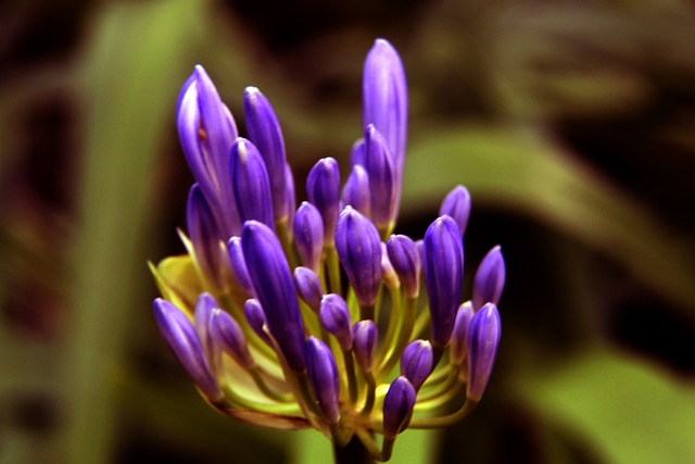 于球队在季 于球队在季