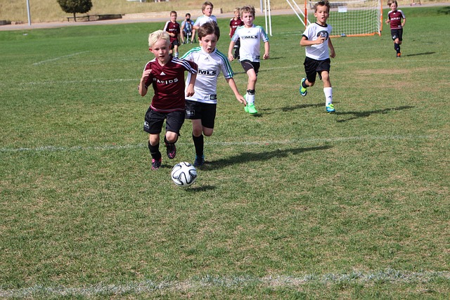 他未能找到 他未能找到