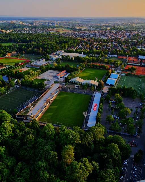 的比赛中能 的比赛中能